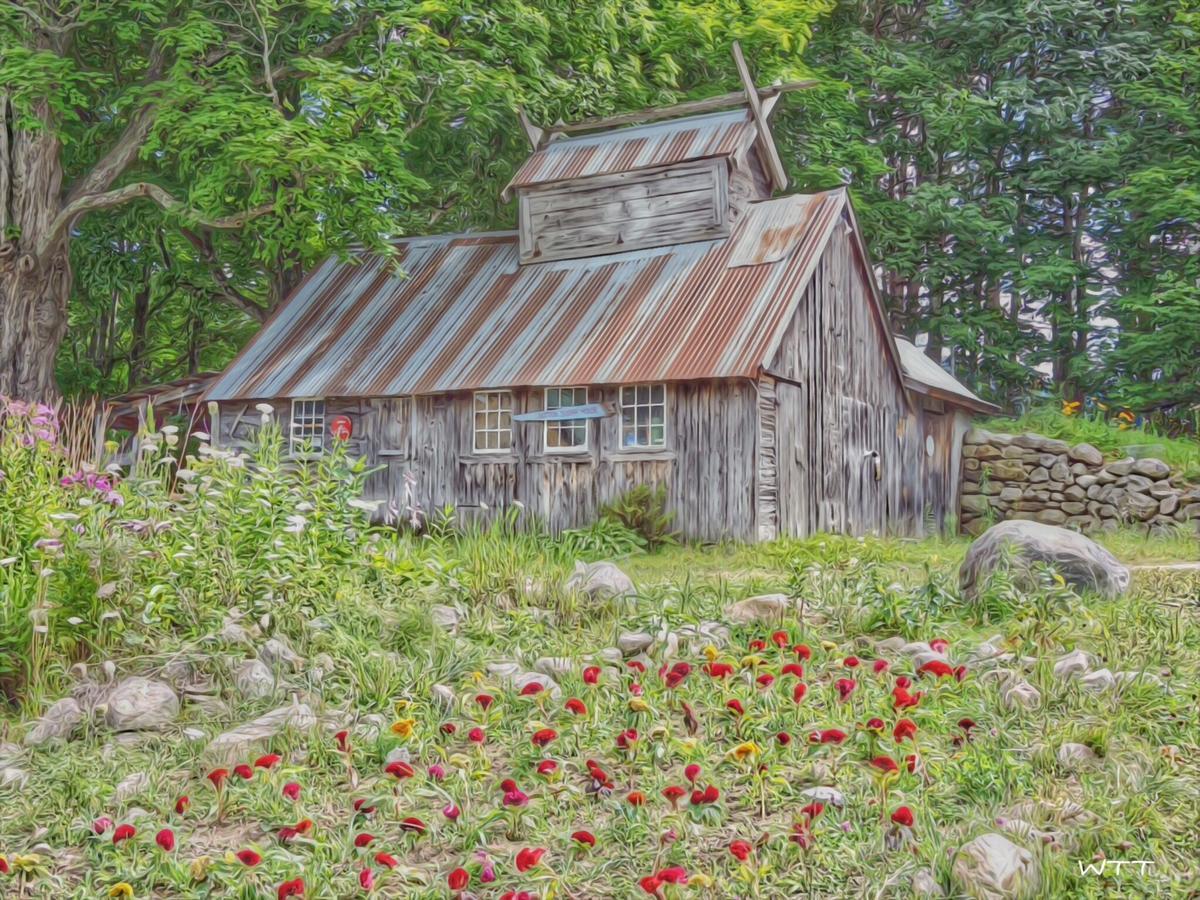 Ripton The Chipman Inn المظهر الخارجي الصورة
