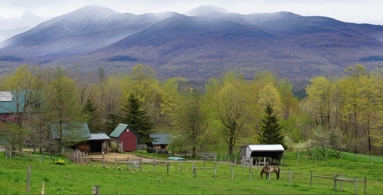 Ripton The Chipman Inn المظهر الخارجي الصورة